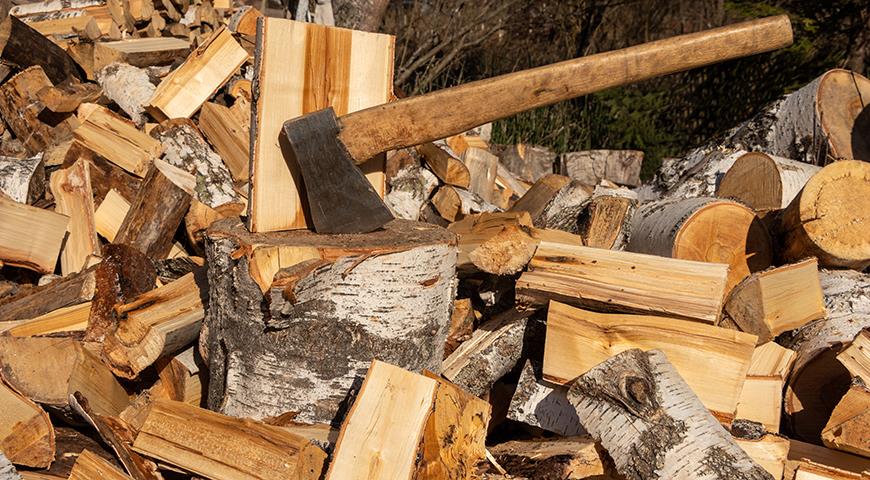 Российские госучреждения подписывают тысячи контрактов на закупку дров для отопления 